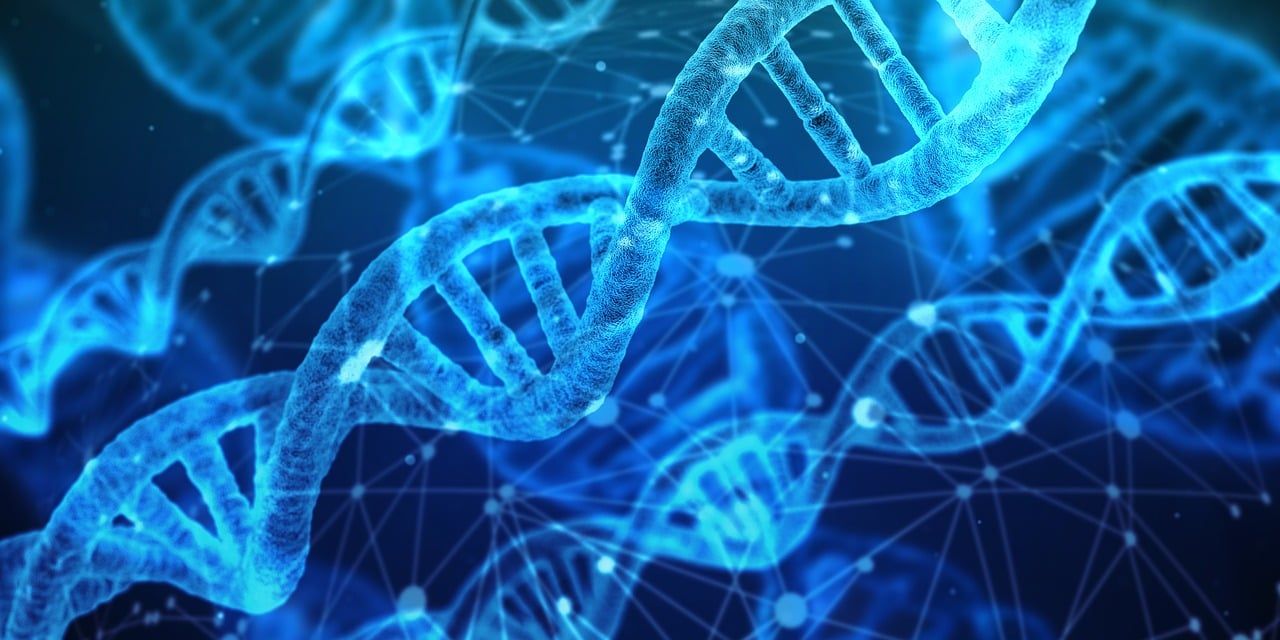 découvrez comment l'innovation transforme les secteurs clés, stimule la croissance et façonne l'avenir grâce à de nouvelles idées, technologies et solutions.