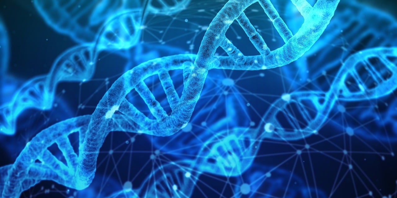 découvrez comment l'innovation transforme les secteurs clés, stimule la croissance et façonne l'avenir grâce à de nouvelles idées, technologies et solutions.